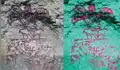 Unos glifos desgastados en una cueva de México ofrecen nuevas pistas sobre el antiguo sistema de escritura de Teotihuacán