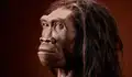 Un fósil de Homo erectus de hace 2 millones de años confirma que vivió en Sudáfrica mucho antes de lo que se pensaba