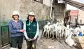 Ganaron el oro con 'Illari Blando': la historia de las emprendedoras peruanas que arrasaron en torneo quesero en Uruguay