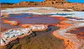 Uno de los lugares más calientes del mundo alberga vida: así es el desierto patrimonio de la humanidad cuyo suelo superó los 80 °C
