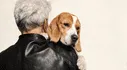 ¿Cuándo un perro ha llegado a la vejez? Descubre los factores que determinan el inicio de la longevidad