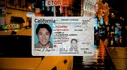 Muy buenas noticias para inmigrantes en EEUU: los estados donde los indocumentados pueden obtener una licencia de conducir
