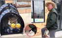 La reacción viral de dos gatos al ser llevados al veterinario de forma diferente: "Odio ser pobre", reaccionó un usuario