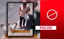 Video viral de mujer que cae tras intentar agredir a un perro fue creado con inteligencia artificial