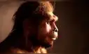 El homo erectus no fue la primera especie en abandonar África