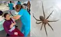 Alerta del Minsa por picadura de araña doméstica en Perú: puede causar la muerte