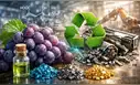Científicos descubren que un ácido natural en uvas es clave para reciclar baterías