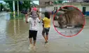 6 fallecidos y 439 contagios por Leptospirosis mantienen en alerta a Piura
