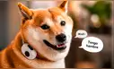 China lanza un collar inteligente para perros y gatos que traduciría sus sonidos y movimientos con más del 94% de efectividad