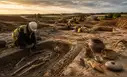 Arqueólogos hallan un cementerio y vestigios que abarcan la Edad del Hierro, periodo romano y era anglosajona en 9 hectáreas en un campo inglés