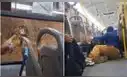 Pasajera graba los tensos momentos tras ataque a bus de Nueva América en San Juan de Miraflores