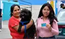 ¡Una compañía especial! Ciudadanos acudieron a votar junto a sus perritos en la segunda vuelta electoral 2026