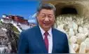China descubre en el Tíbet un recurso estratégico que podría reducir su dependencia tecnológica de Estados Unidos