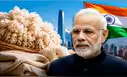 India compra por primera vez lana ovina de un país de América Latina y la posiciona en uno de los mayores mercados textiles del mundo