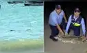 Cocodrilo de más de dos metros aparece en playa Los Órganos y causa alarma en Tumbes
