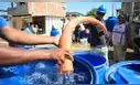 Estos distritos de Lima Metropolitana no tendrán agua hasta por 11 horas este viernes 19 de junio, según Sedapal