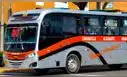 Ruta 1180 cambia de identificación desde julio: así reconocerás los buses de Nueva América para su servicio entre Carabayllo y SJM