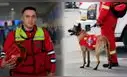 Bombero venezolano deja Perú para ayudar a las víctimas del terremoto en su país: "No es fácil volver así"