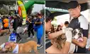 Este distrito de Lima organiza la Caminata Huellas 4K con atención veterinaria gratuita y campaña de esterilización para perros y gatos.