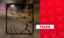 Es falsa la imagen viral que muestra una calle destruida por el sismo de Junín: fue generada con inteligencia artificial