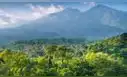 La nueva capital que se construye desde cero en la selva: costará 33.000 millones y tendrá espacio para 1,9 millones de personas