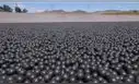 Gastaron 34 millones de dólares en 96 millones de bolas negras para proteger un depósito de agua y ahora deben retirarlas