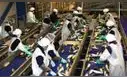 PBI creció 3,05% hasta junio, pero pesca y manufactura retrocedieron