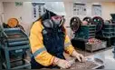 Formación corta y rápida salida laboral: ¿por qué las carreras técnicas ganan terreno en Perú?
