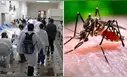 Dengue en Perú: Minsa reporta 4.000 contagios en Lima y lanza advertencia por impacto del fenómeno de El Niño