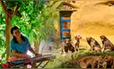 Famosa finca busca hasta 3 voluntarios que hablen español o inglés para vivir gratis en Puerto Rico: trabajarían 20 horas semanales por 4 semanas