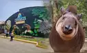 “Hasta siempre, Pancha”: Parque de las Leyendas despide a tapir rescatada que albergó durante 20 años
