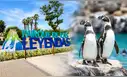 Parque de las Leyendas ofrecerá 50% de descuento en sus entradas para estas fechas de setiembre
