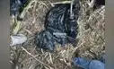 Este es el fusil R-15 empleado en el cuádruple asesinato de Trujillo
