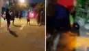 Delincuentes balean a hombre y matan a su mascota en presunto intento de robo en Comas Delincuentes balean a hombre y matan a su mascota en presunto intento de robo en Comas