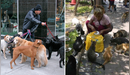 En esta ciudad del Perú sancionarán con multas de hasta S/1.100 a dueños que tengan más de dos mascotas