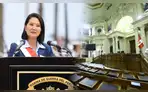 Diputados remitió al Senado dictamen que otorga facultades al Gobierno: estos son las 20 puntos aprobados