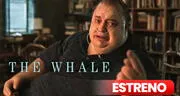 ¿Dónde VER "The whale" ONLINE vía STREAMING? Guía de la película nominada al Oscar 2023 con Brendan Fraser