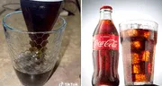 TikTok: joven revela cómo servir gaseosa correctamente y se vuelve viral