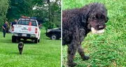 Perrito roba pan en pleno allanamiento de la Policía: “Eso sí es aprovechar las oportunidades”