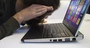 ¿Quieres saber por qué tu laptop hace un ruido molesto y cómo solucionarlo?