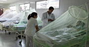 En La Libertad piden emergencia por dengue
