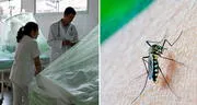 Dengue en Perú: reportan la cuarta persona fallecida en La Libertad