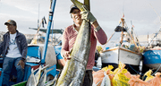 Ante El Niño se reducirá la oferta de pescado para los hogares