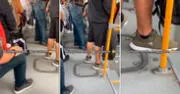 Joven utiliza singulares zapatillas en micro y lo trolean: “Simplemente Perú”