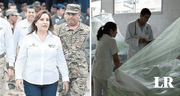 “Exigimos la presencia de Dina Boluarte en Piura por casos de dengue”, reclamó Federación Médica