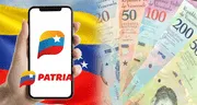 Nuevo bono de la Patria de 810 bolívares: ¿cuándo inició el pago y qué hacer para recibirlo?