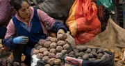 PLATOS típicos por el Día del Campesino: ideas de COMIDAS y loncheras para preparar este 24 de junio