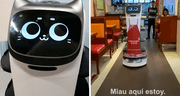 Un gatito robot es el mesero sensación en este chifa de Lima: ¿dónde queda y cómo llegar al local?
