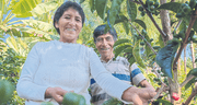 El mejor café del mundo es de sandia y le pertenece a Vicentina Phocco