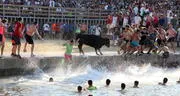 Toro muere ahogado durante festividad taurina: decenas de personas hicieron que cayera al agua
